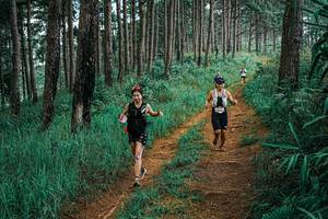 BIB: 
                            <button type="button" onclick="openModal(25655450)" class="btn btn-primary btn-sm float-right btn-popup" data-toggle="modal" data-target=".modal-high-quality">
                        <i class="fas fa-shopping-cart"></i> Add to Cart
                    </button>
                                            <button type="button" onclick="isThisMe(25655450, true)" class="btn btn-success btn-sm float-right btn-popup btn-isme hidden" data-toggle="tooltip" data-placement="bottom" title="นี่คือรูปของคุณใช่ไหม คลิกที่นี่เพื่อเอาเข้าอัลบั้ม">
                        <i class="fas fa-plus"></i> Add to album
                    </button>
                    <button type="button" onclick="isThisMe(25655450, false)" class="btn btn-warning btn-sm float-right btn-popup btn-isnotme hidden">
                        <i class="fas fa-ban"></i> Remove from album
                    </button>